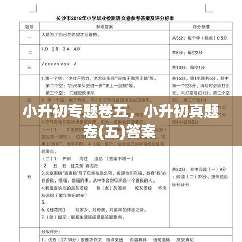 小升初专题卷五，小升初真题卷(五)答案 