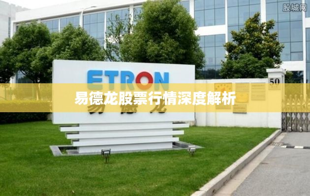 易德龙股票行情深度解析