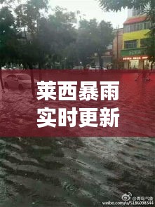 莱西暴雨实时更新，最新消息与天气动态