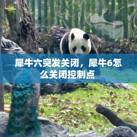 犀牛六突发关闭，犀牛6怎么关闭控制点 