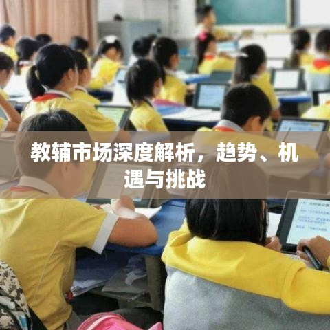 教辅市场深度解析，趋势、机遇与挑战