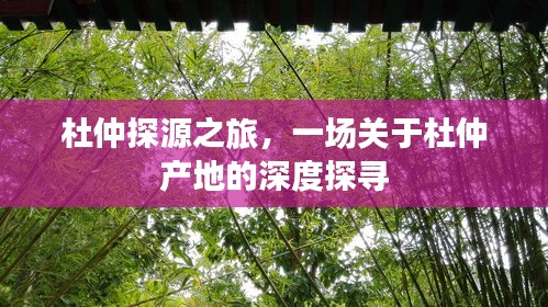 杜仲探源之旅，一场关于杜仲产地的深度探寻