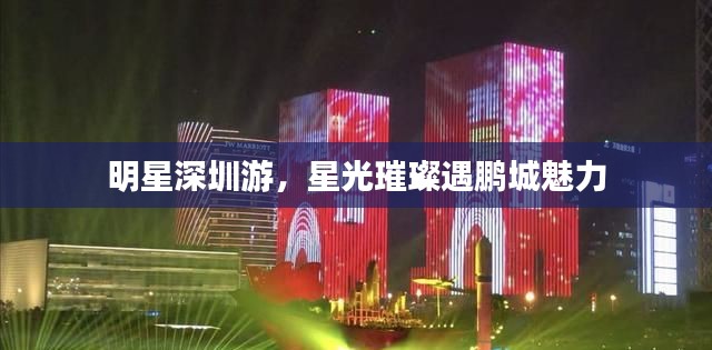 明星深圳游，星光璀璨遇鹏城魅力