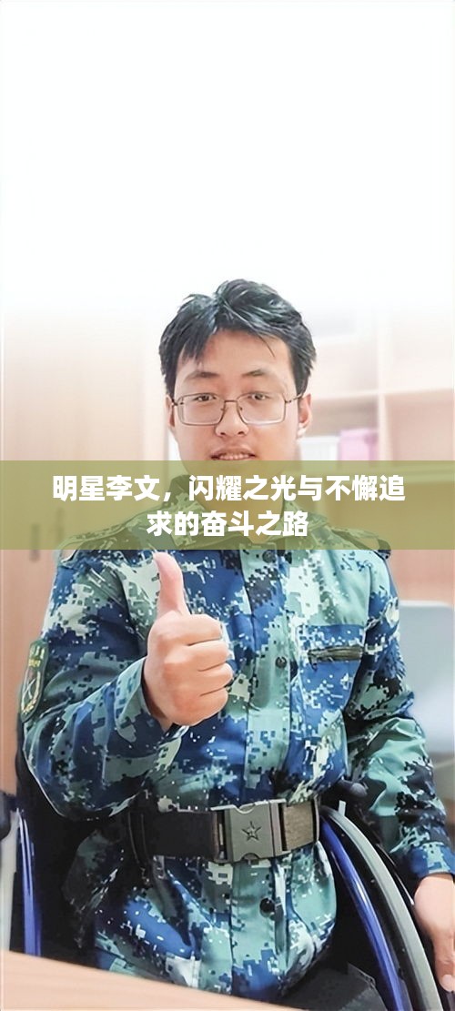 明星李文，闪耀之光与不懈追求的奋斗之路