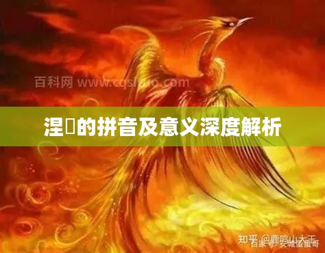 健康新知 第24页