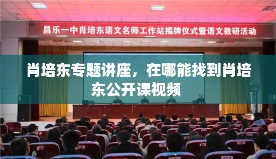 肖培东专题讲座，在哪能找到肖培东公开课视频 