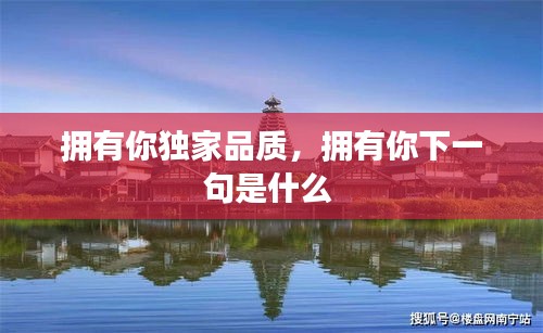 拥有你独家品质，拥有你下一句是什么 