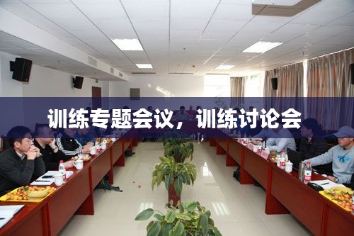 训练专题会议，训练讨论会 