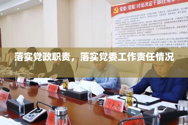 落实党政职责，落实党委工作责任情况 