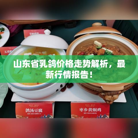 山东省乳鸽价格走势解析，最新行情报告！
