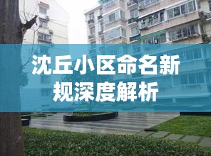 真独简贵