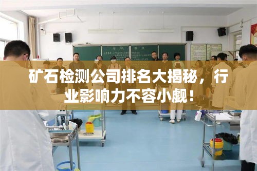 矿石检测公司排名大揭秘，行业影响力不容小觑！