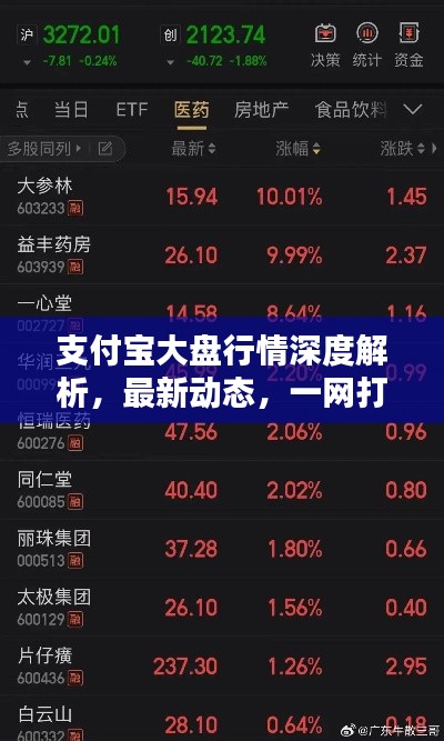 支付宝大盘行情深度解析，最新动态，一网打尽！