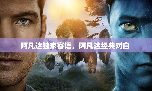 联系我们 第13页