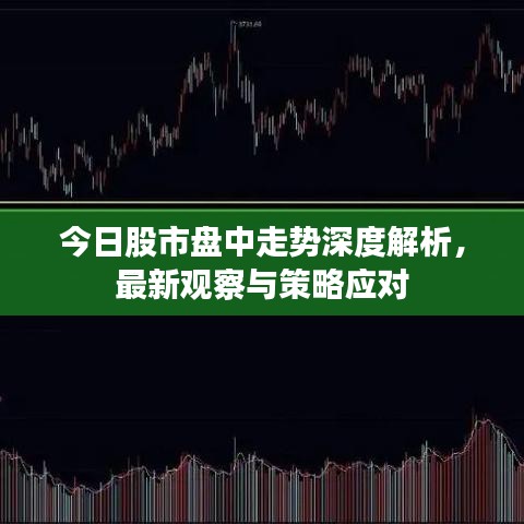今日股市盘中走势深度解析，最新观察与策略应对