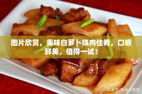 图片欣赏，美味白萝卜烧肉佳肴，口感鲜美，值得一试！