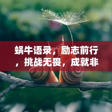 蜗牛语录，励志前行，挑战无畏，成就非凡人生