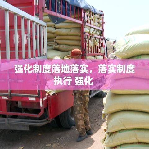 强化制度落地落实，落实制度执行 强化 