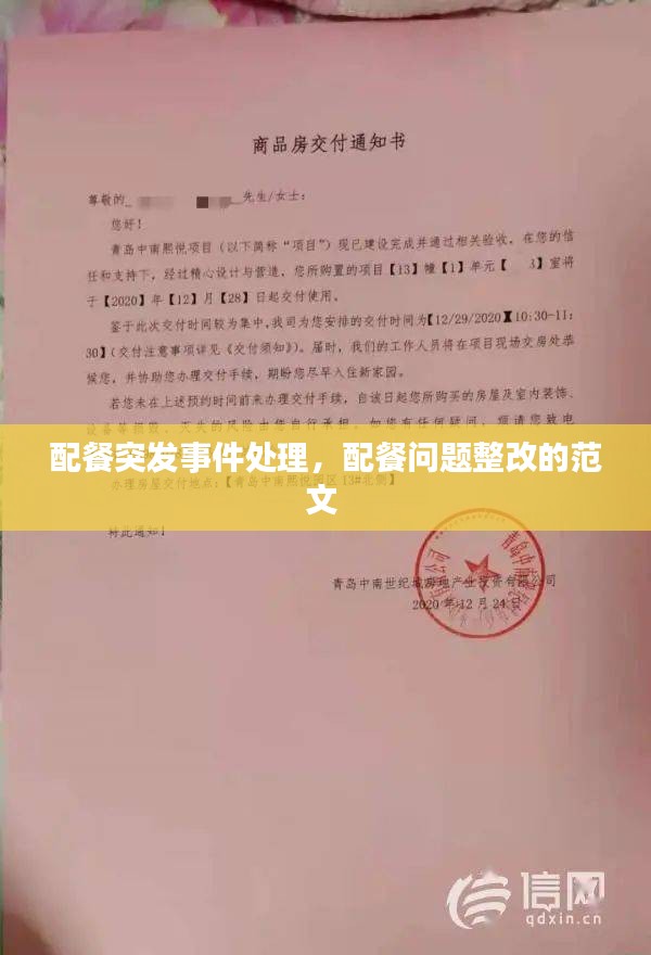 配餐突发事件处理，配餐问题整改的范文 