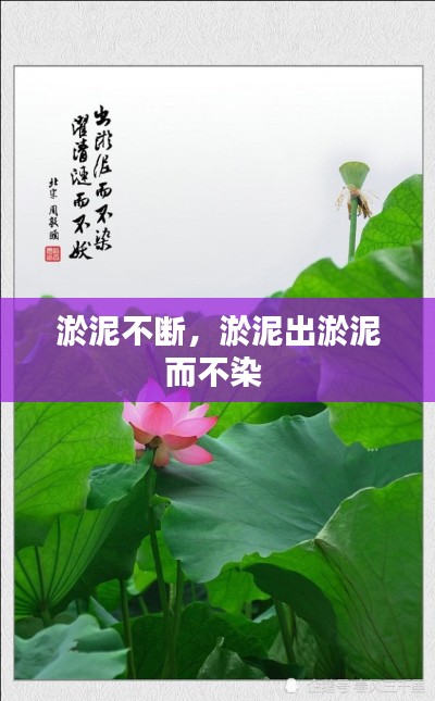 淤泥不断，淤泥出淤泥而不染 