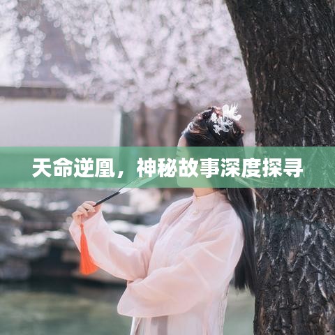 天命逆凰，神秘故事深度探寻