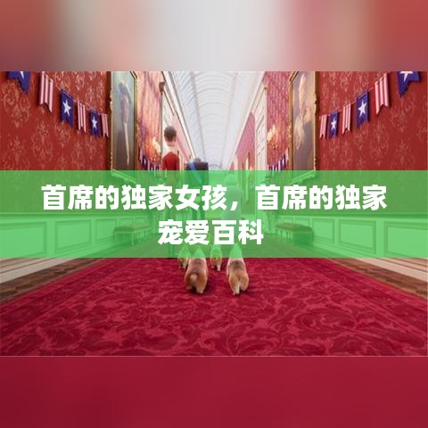 首席的独家女孩，首席的独家宠爱百科 