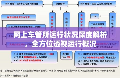 网上车管所运行状况深度解析，全方位透视运行概况
