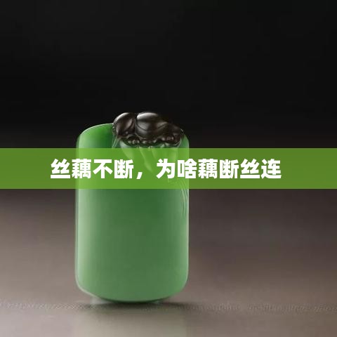 丝藕不断，为啥藕断丝连 