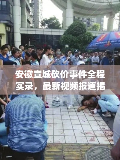 安徽宣城砍价事件全程实录，最新视频报道揭秘现场真相