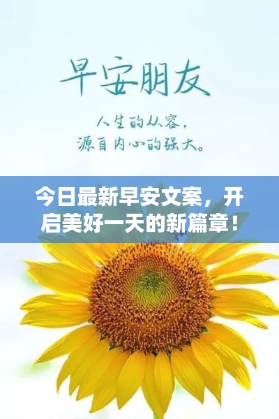 今日最新早安文案，开启美好一天的新篇章！