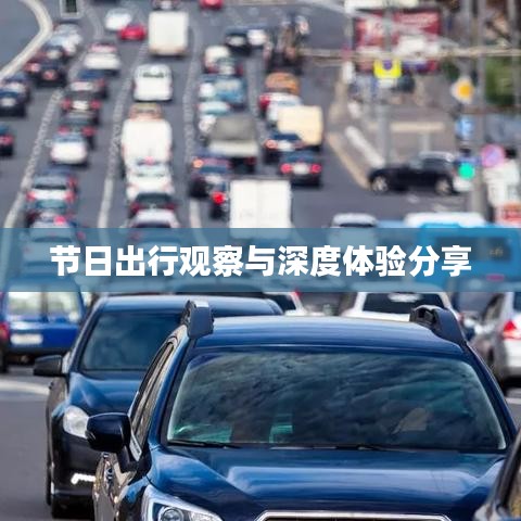 节日出行观察与深度体验分享