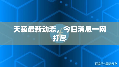 天籁最新动态，今日消息一网打尽