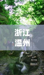 澳朗口腔医疗团队 第8页