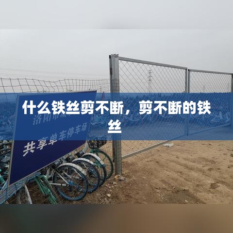 什么铁丝剪不断，剪不断的铁丝 