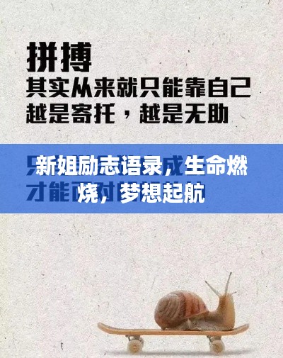 新姐励志语录，生命燃烧，梦想起航