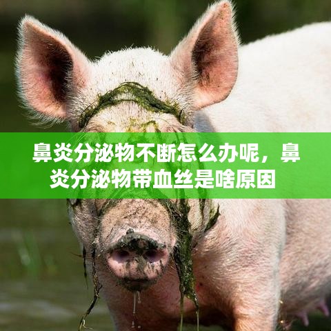 澳朗口腔简介 第8页