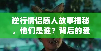 逆行情侣感人故事揭秘，他们是谁？背后的爱情故事令人动容
