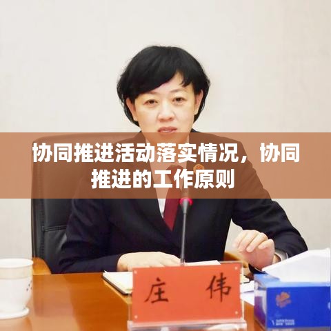 协同推进活动落实情况，协同推进的工作原则 