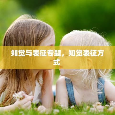 知觉与表征专题，知觉表征方式 