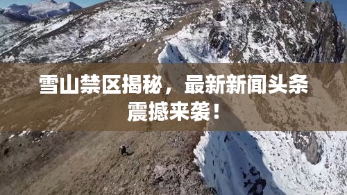 雪山禁区揭秘，最新新闻头条震撼来袭！