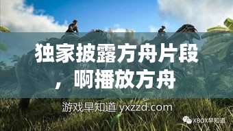 澳朗口腔项目 第8页