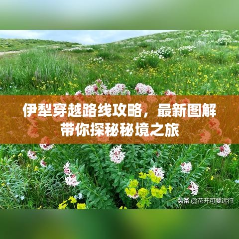 伊犁穿越路线攻略，最新图解带你探秘秘境之旅