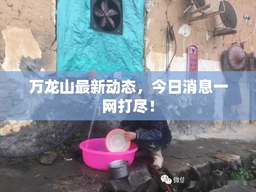 万龙山最新动态，今日消息一网打尽！