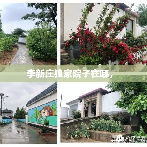 李新庄独家院子在哪， 