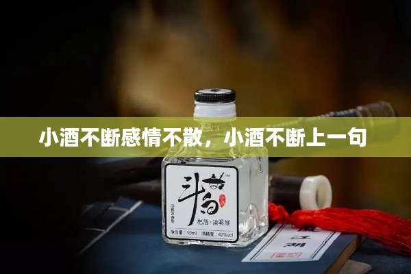 小酒不断感情不散，小酒不断上一句 