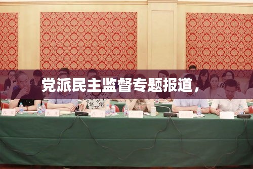 党派民主监督专题报道， 