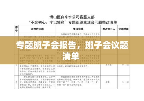 专题班子会报告，班子会议题清单 
