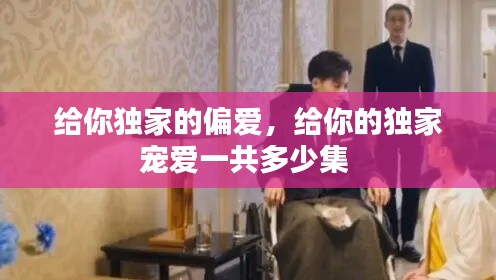 给你独家的偏爱，给你的独家宠爱一共多少集 