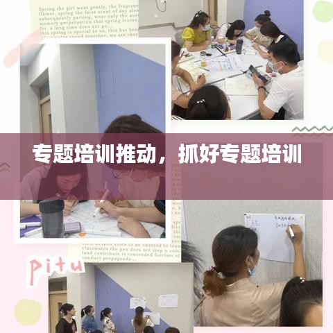 专题培训推动，抓好专题培训 
