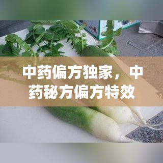 中药偏方独家，中药秘方偏方特效方 